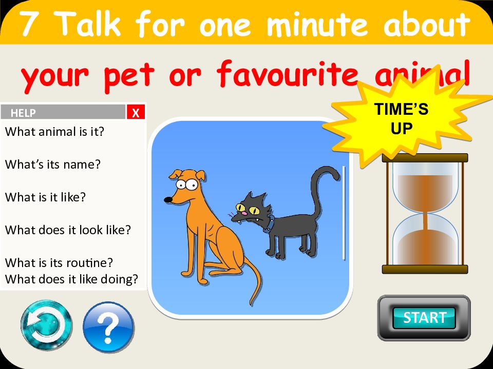 Talk for 1 minute travelling. Talk for one minute. Talk for a minute about. Talk for 1 minute about. Talk for 1 minute animals.