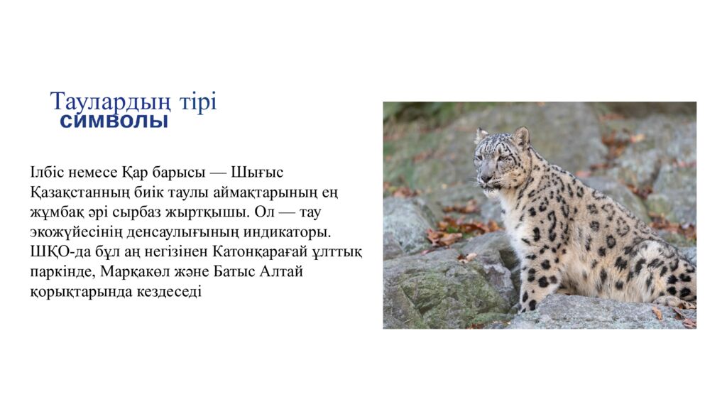 Тауларды ң тірі