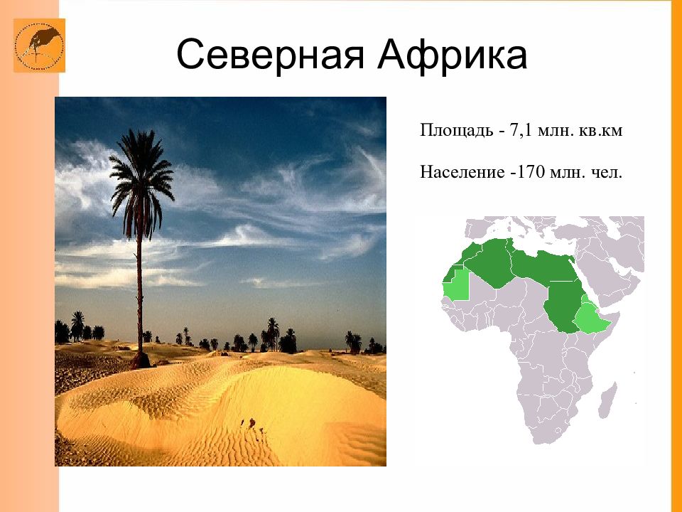Западная и центральная африка география 7 класс. Регионы Северной Африки. Северная Африка. Территория Африки. Северная Африка география 7 класс.