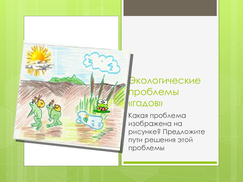 Экологические проблемы «гадов»