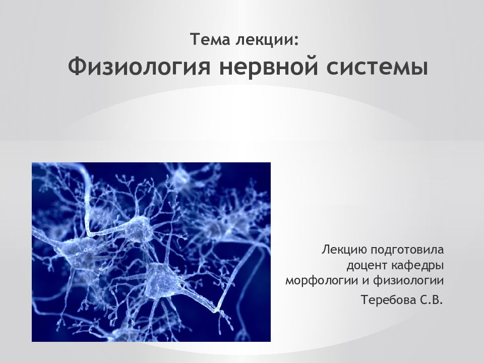 Конспекты лекции физиология. Физиология нервной системы. Физиология нервной системы Сеченова.