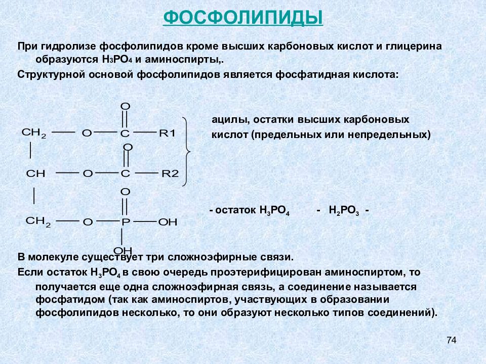 Фосфолипиды. Простые липиды. Гидролиз фосфолипидов. Строение простых липидов. Характеристика простых липидов.