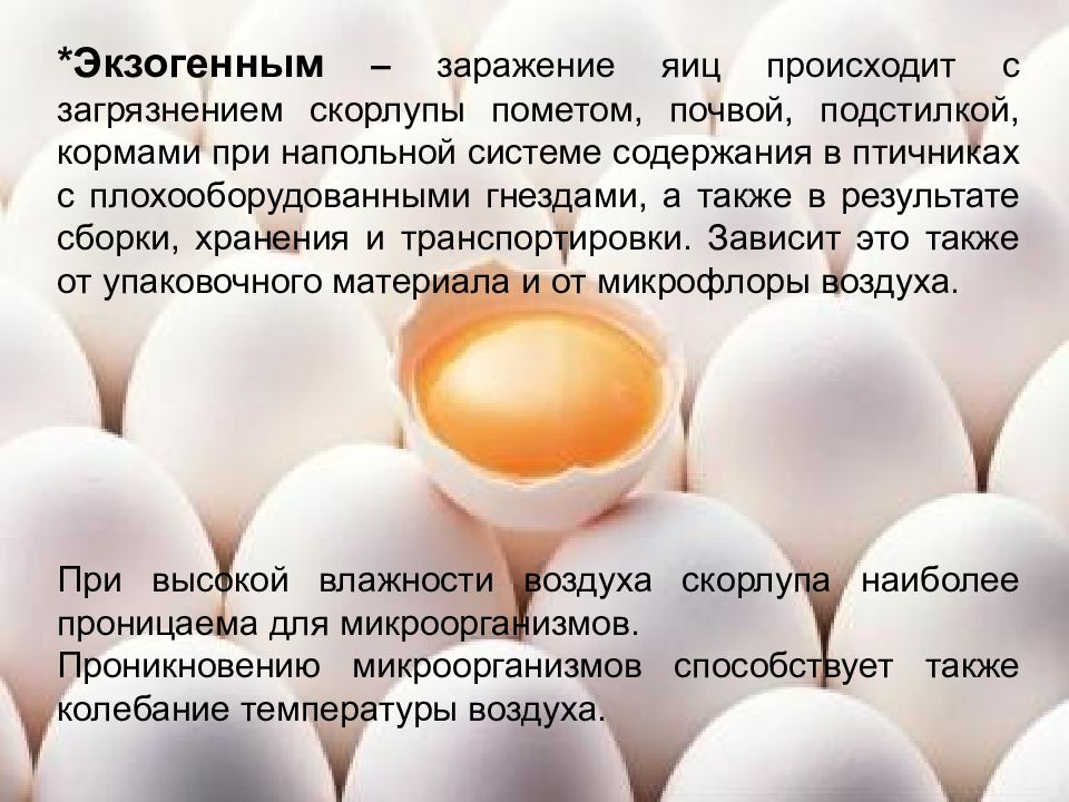 Какие функции выполняет яйцо. Микробиология яиц и яичных продуктов. Микробиология яиц. Качество яиц. Микробиология куриного яйца.