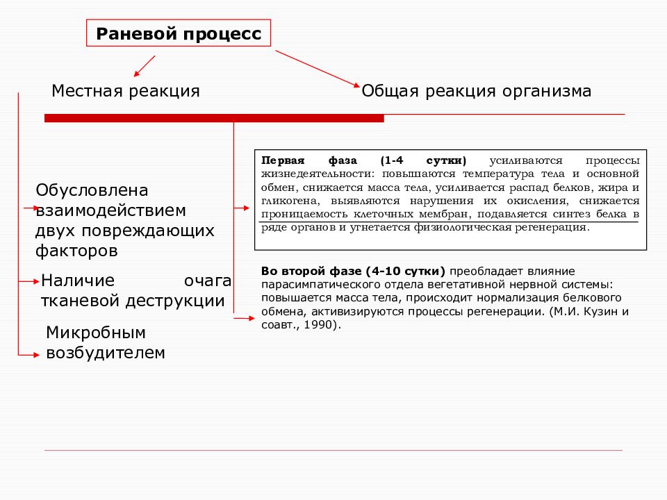 Муниципальный процесс