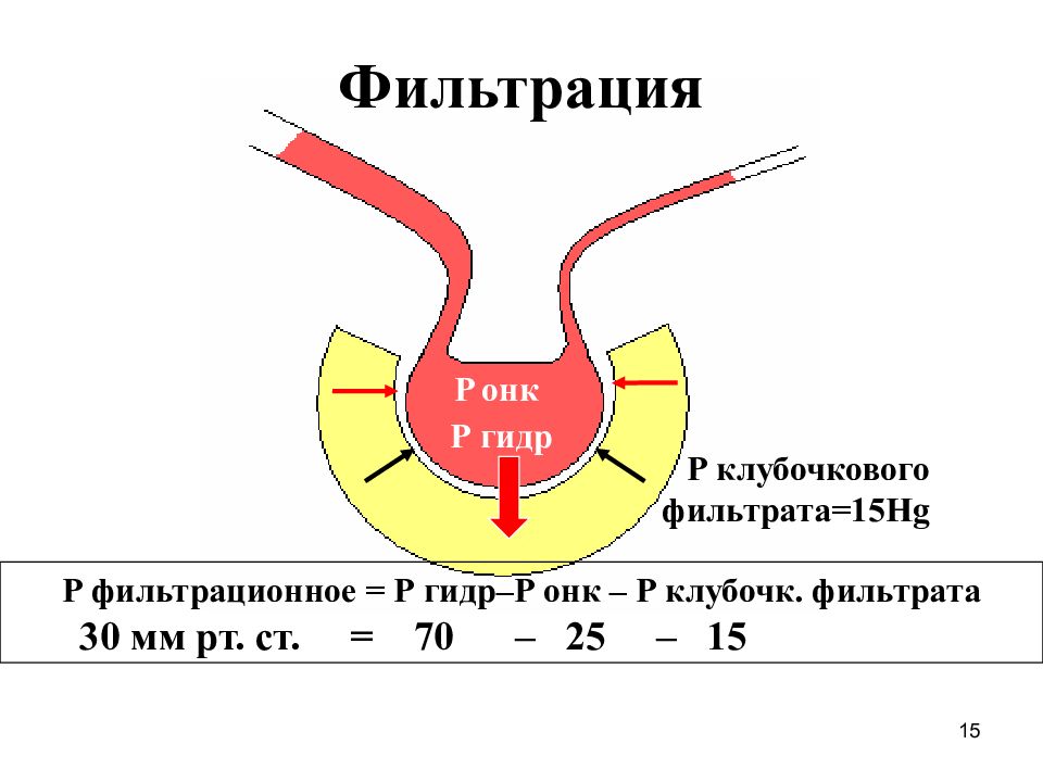 Клубочковый клиренс. Механизм клубочковой фильтрации схема. Уменьшение клубочковой фильтрации. Клубочковая фильтрация биохимия. Механизм почечной фильтрации.