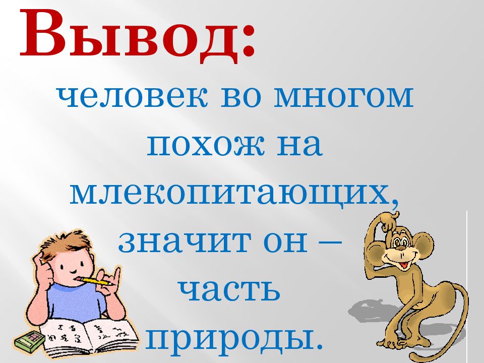 Человек часть природы презентация 3 класс