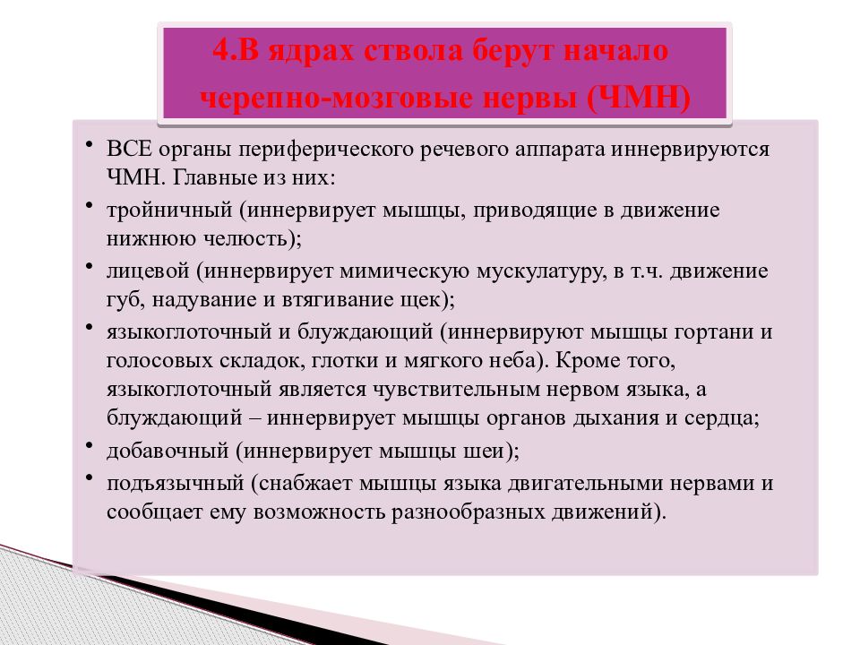 Анатомо физиологические механизмы речи. Анатомо-физиологические особенности речи. Анатомо-физиологические особенности органов речи у детей. 4. Анатомо-физиологические механизмы звуковоспроизведения.. Анатомо - физиологические представительство ощущений.