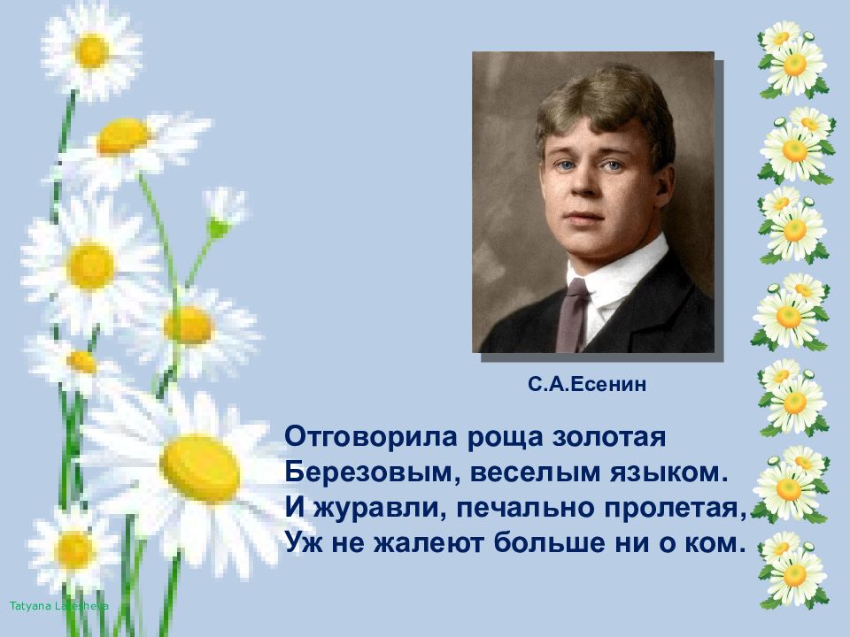 Есенин золотой. Есенин Журавли. Есенин зелёная Отговорила роща Золотая. Есенин Отговорила роща Золотая романс презентация на тему. Журавли печально Пролетая Есенин исполнители.