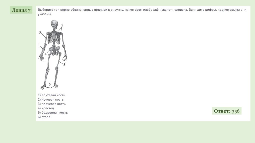 ЕГЭ 2027 ОДС ОТРАБОТКА