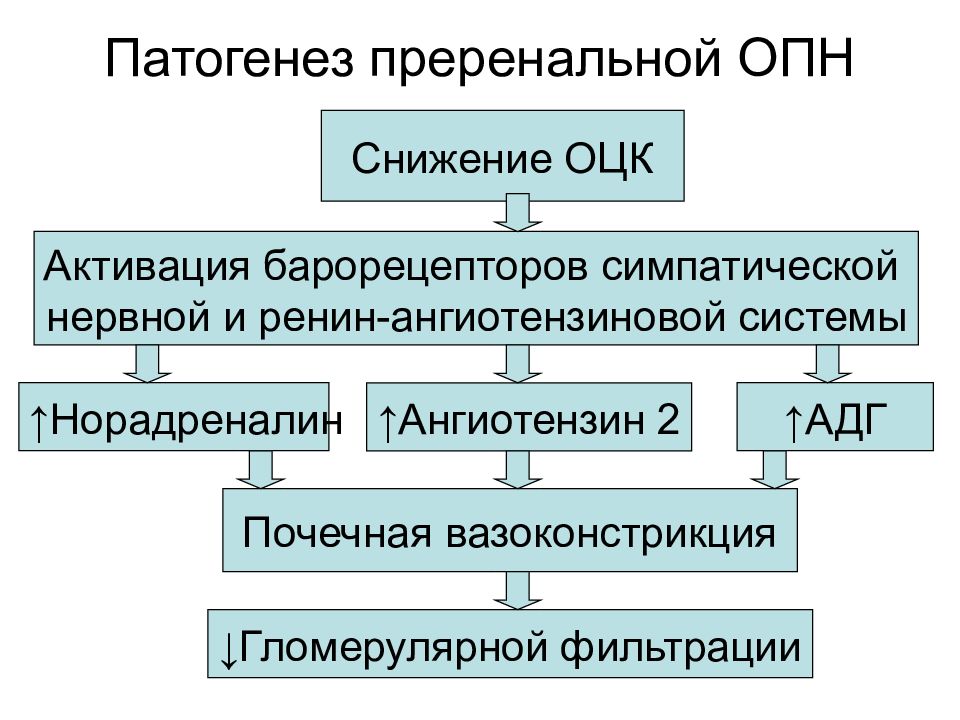 Почечная недостаточность патофизиология презентация