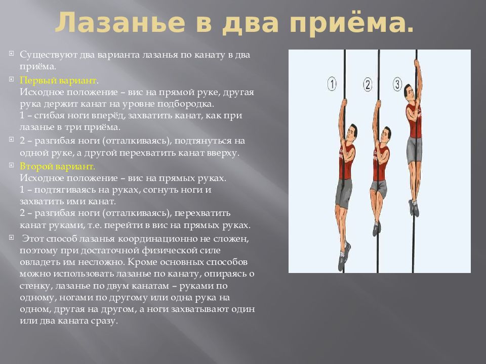 Какие мышцы развиваются при лазании по канату. Какие мышцы развиваются при лазании по канату