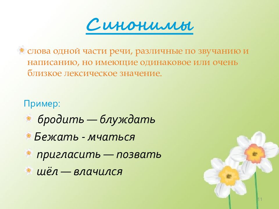 Синоним 11