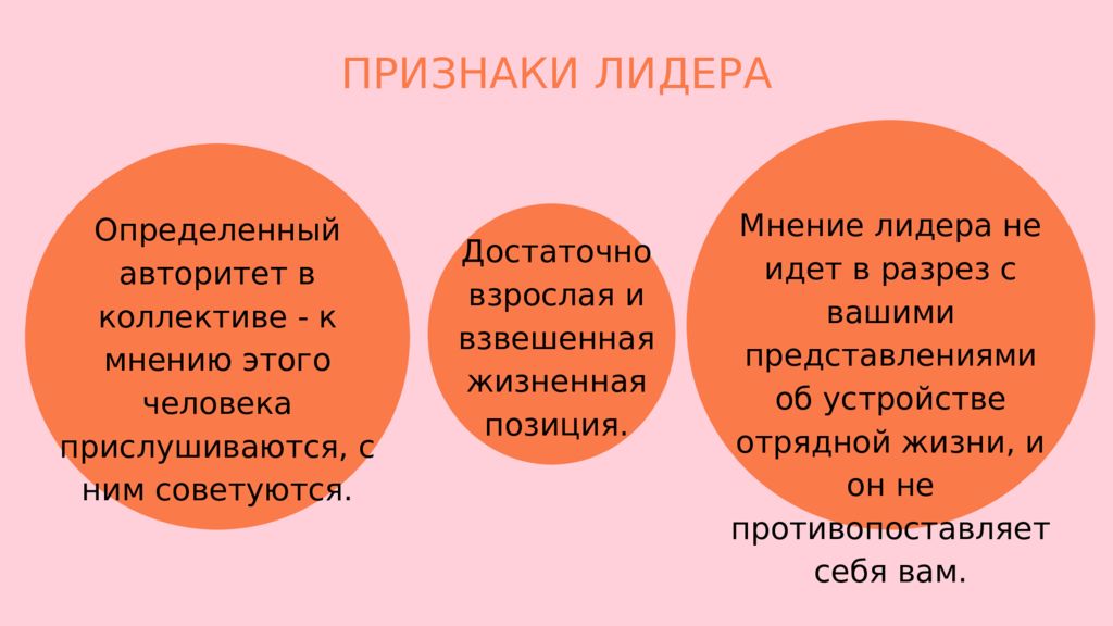 Детское самоуправление в лагере презентация