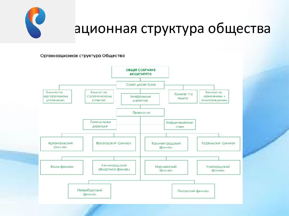 Схема организационной структуры пао мегафон