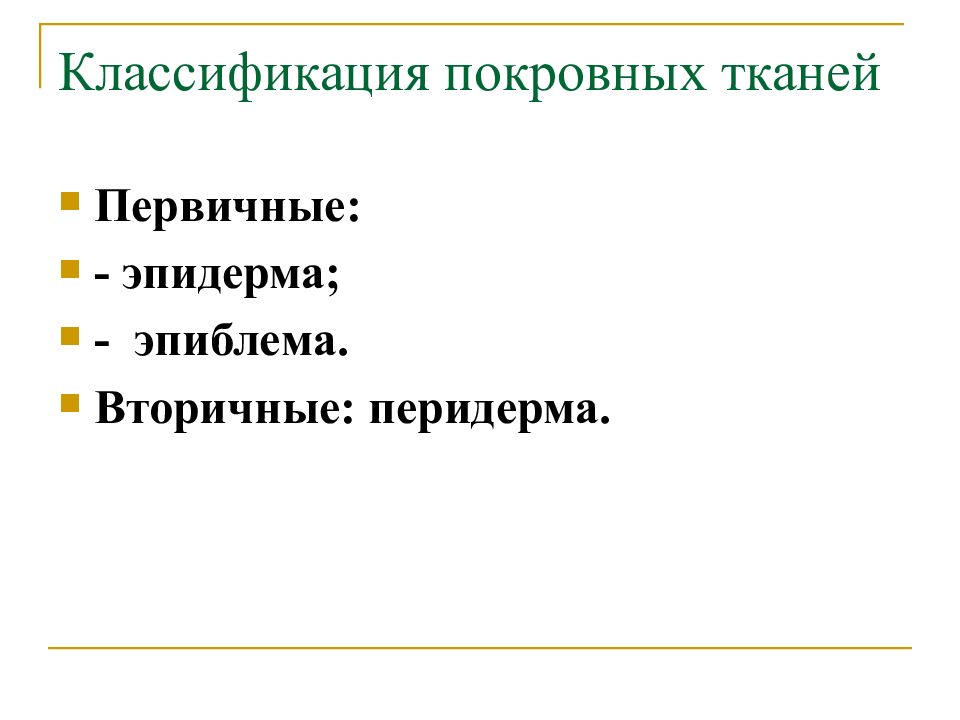 Первичные ткани. Классификация покровных тканей.