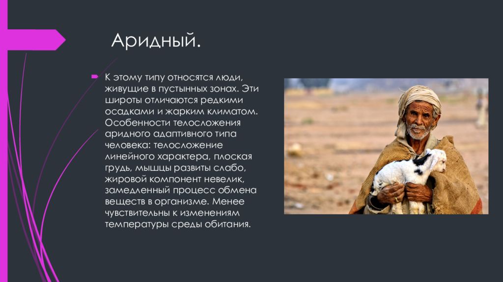 Человек относится к типу. Аридный адаптивный Тип человека. Аридный адаптационный Тип человека. Пустынный адаптивный Тип человека. Аридный адаптивный Тип адаптивный Тип человека.