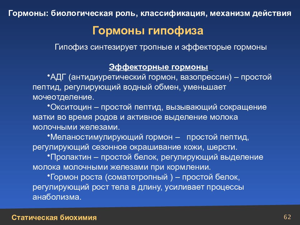 Биологическая роль белков презентация