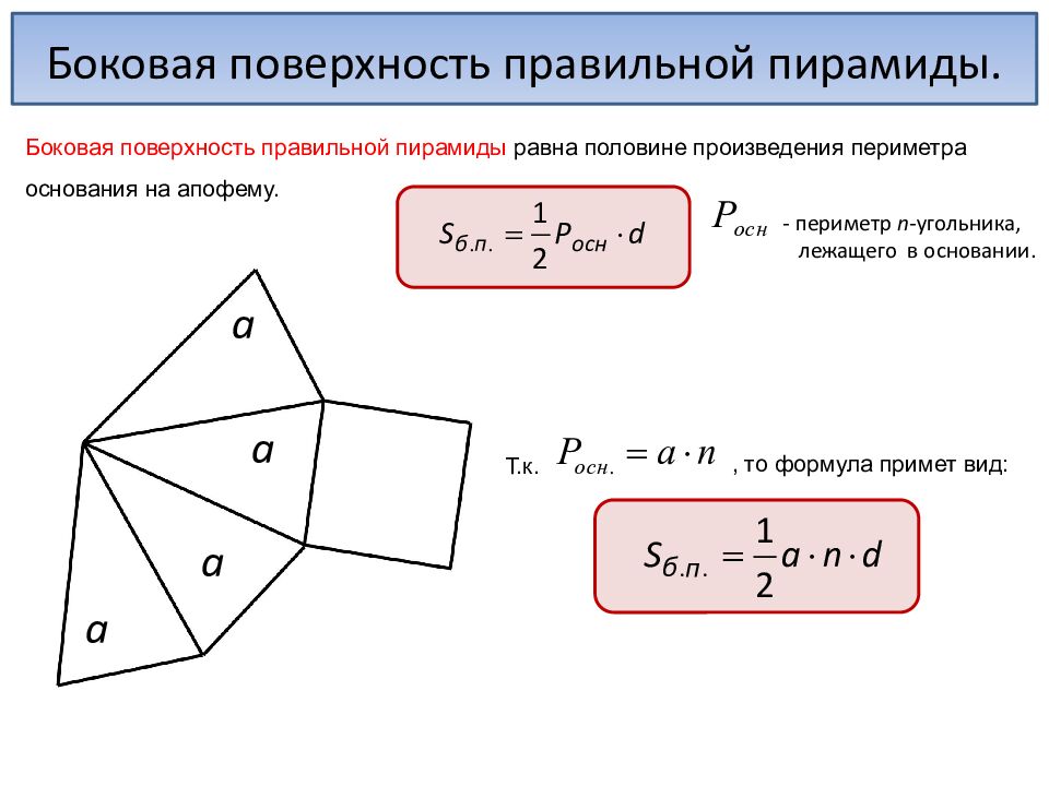 Пирамида. Когтев Миша