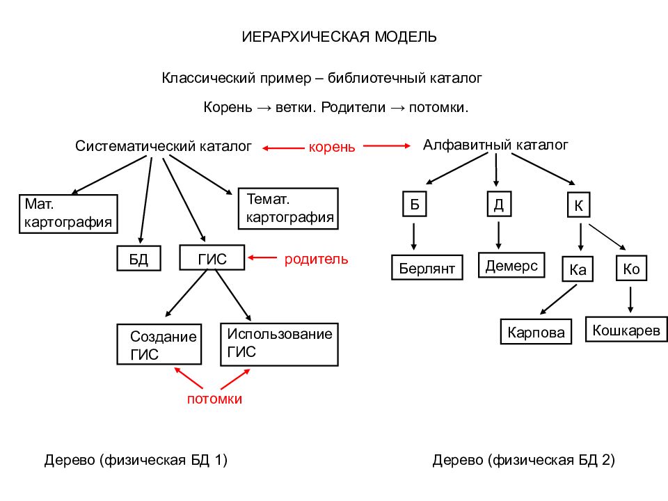 Иерархическая модель данных. Иерархическая модель ГИС. Иерархическая модель данных в ГИС. Иерархическая модель схема. Иерархическая модель данных потомки.