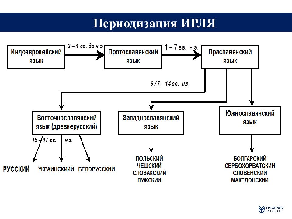 Связь русский и русский литературный язык