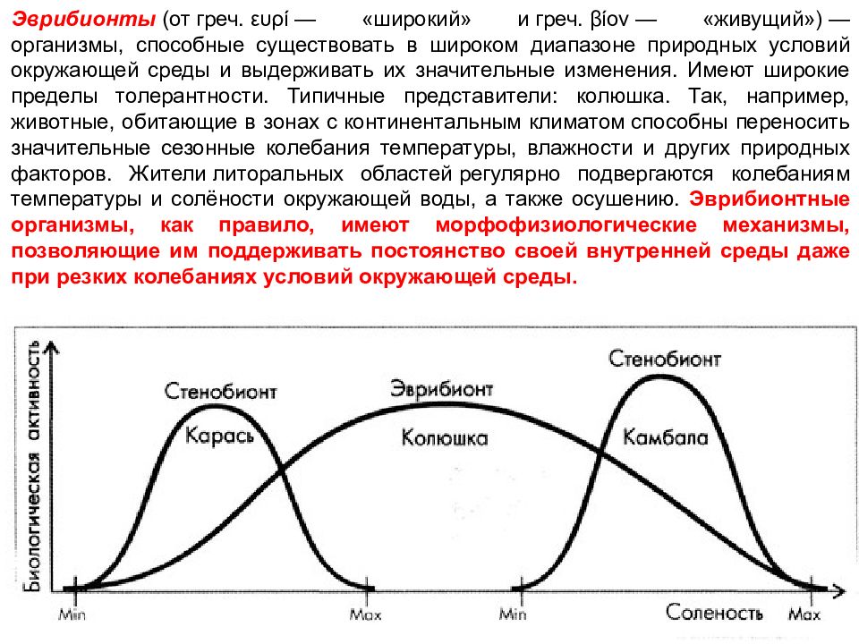 Закономерности действия факторов среды на организмы презентация