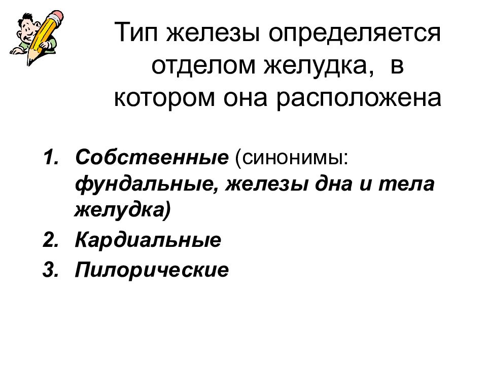 Собственный синоним. Тип железы. 2 Типа желез.