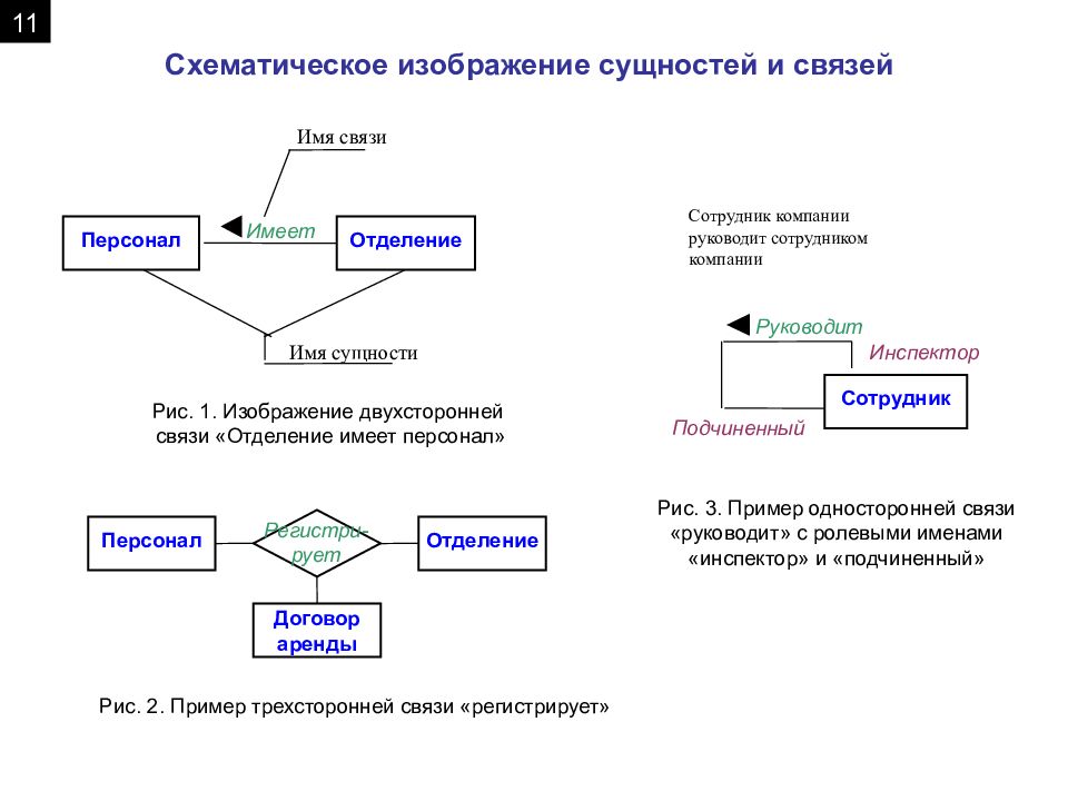 Презентация жизненный цикл базы данных