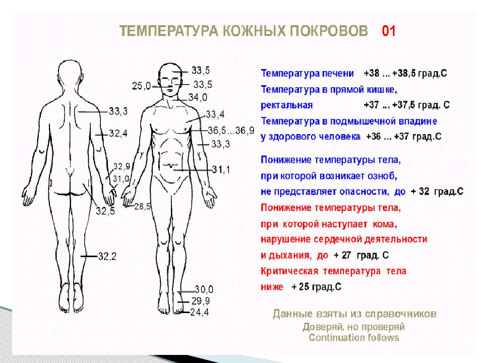 Температурная карта человека