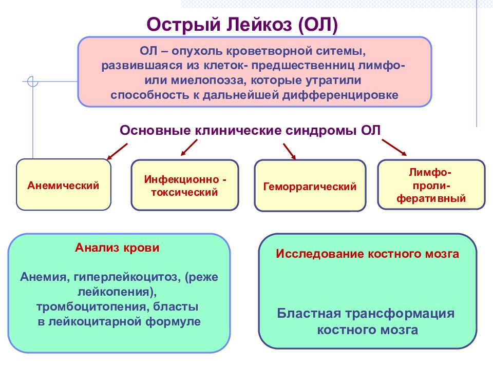 Развитие лейкоза. Острый лейкоз причины. Симптоми острая лейкоза. Причины развития острого лейкоза.