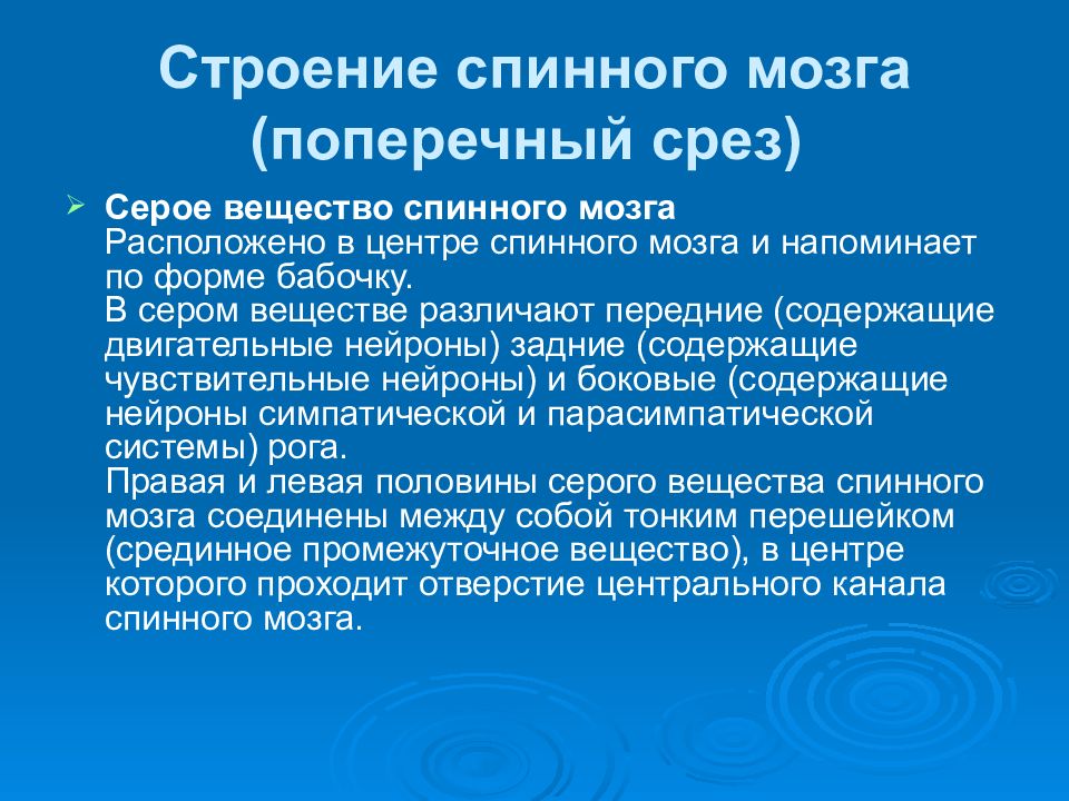 Презентации по неврологии для студентов