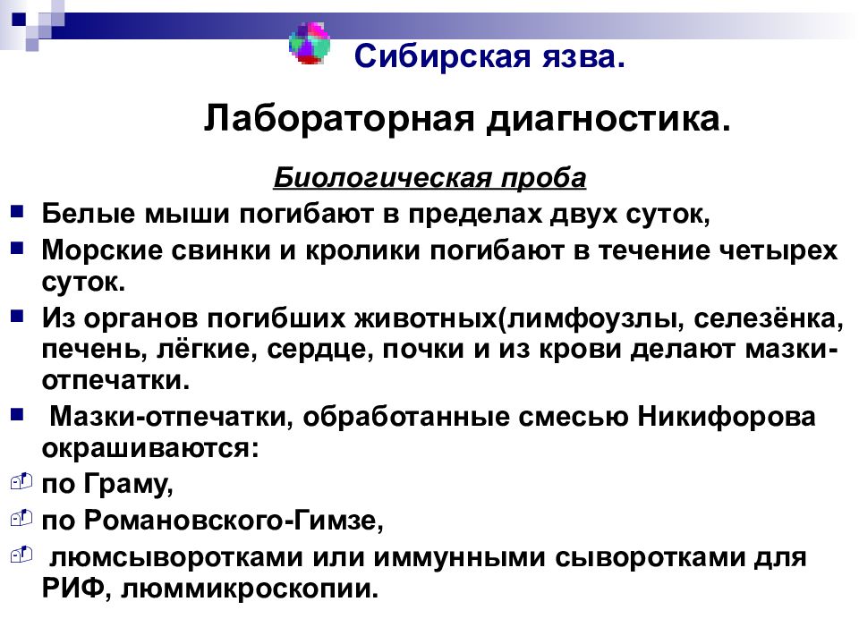 Сибирки новосибирск. Лабораторная диагностика сибирской язвы. Сибирская язва микробиология. Сибирская язва микробиология презентация. Патогенез сибирской язвы микробиология.