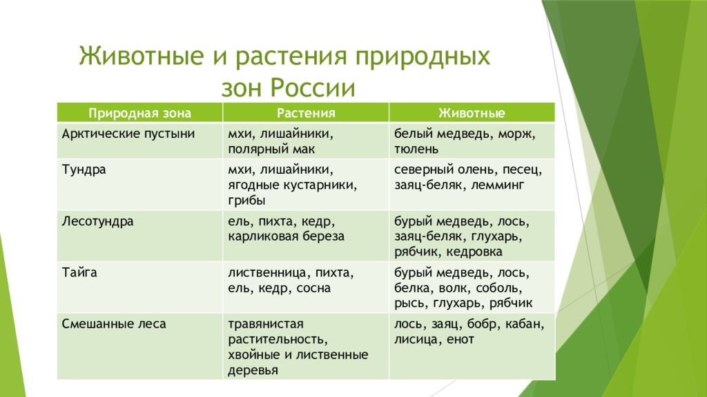 Презентация по окружающему миру 4 класс природные зоны россии