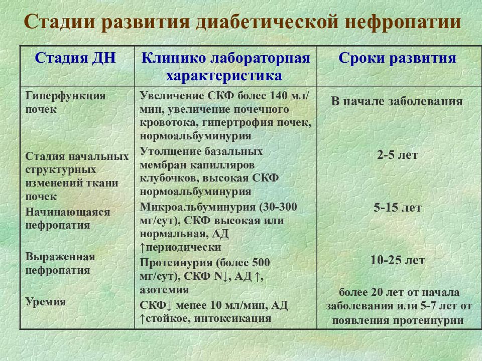 Диабетическая нефропатия презентация