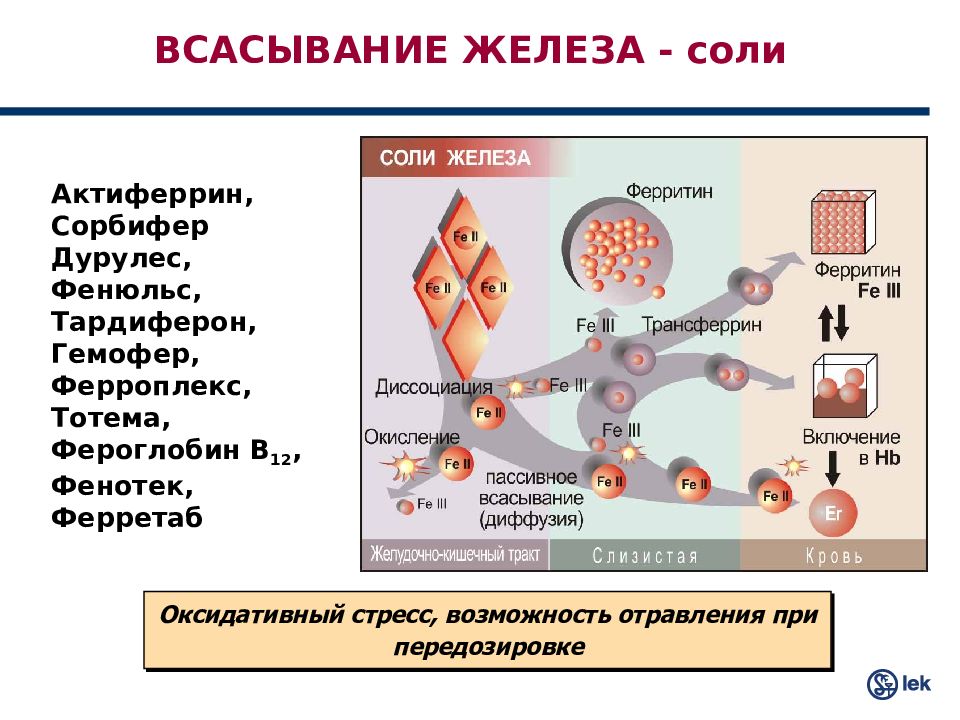 Для улучшения всасывания железа