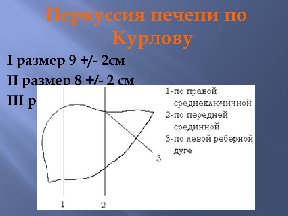 Печень по курлову. Размеры печени по курлову. Границы печени по курлову у детей. Перкуссия печени пропедевтика внутренних болезней. Размеры печени по курлову у детей.