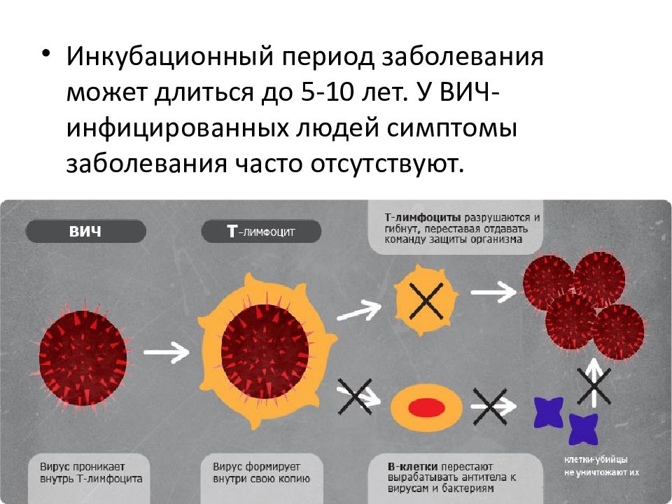 Болезни системы крови презентация