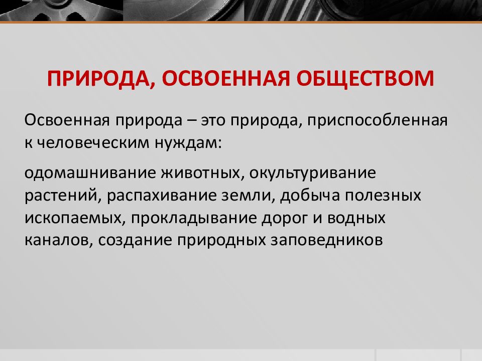 Функция социальной памяти исторической науки состоит