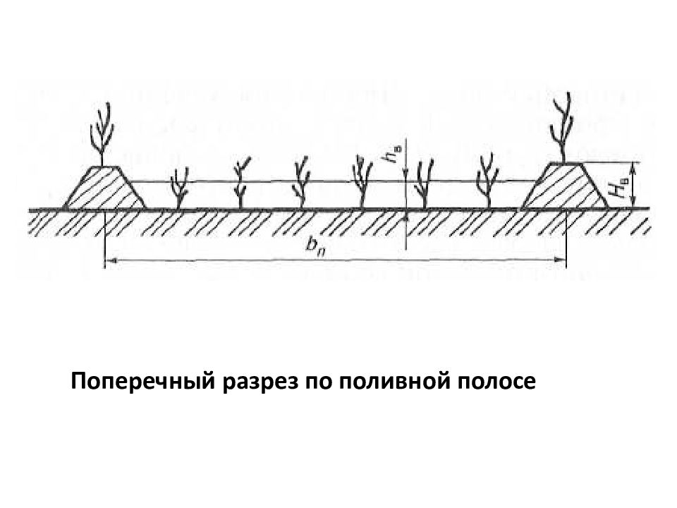 Поверхностные пути. Схема полива по бороздам. Способы орошения. Продольный разрез капельное орошение. Дефектных методов орошения.