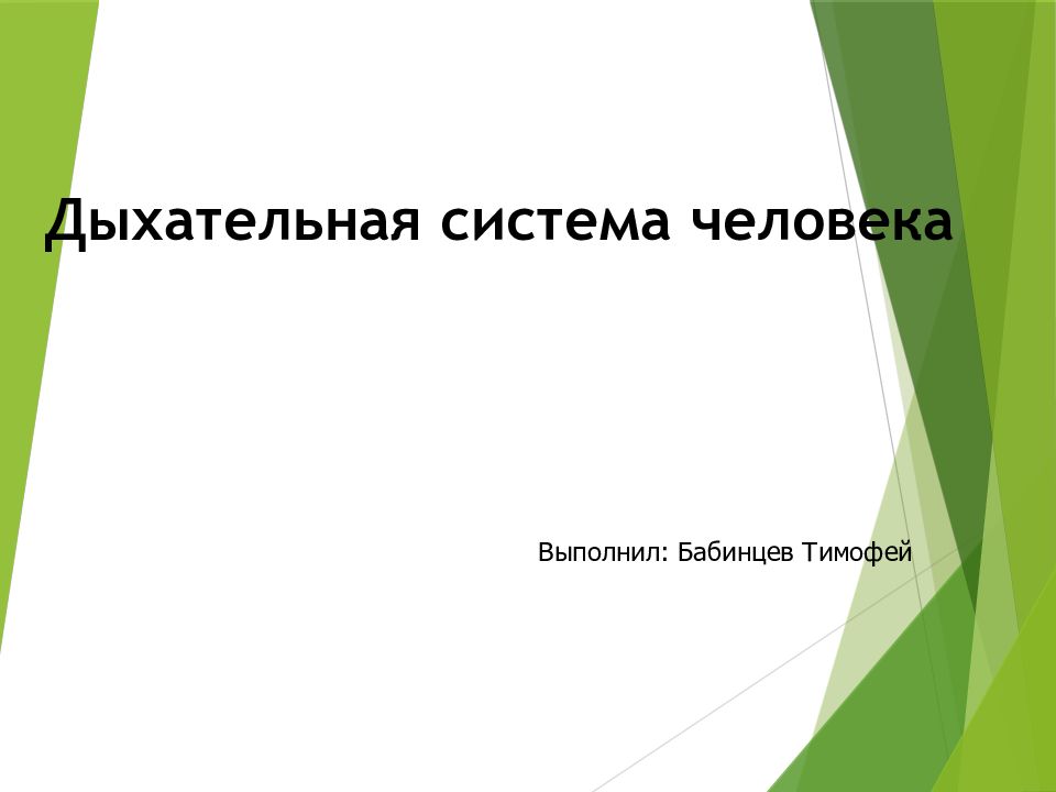 Дыхательная система человека