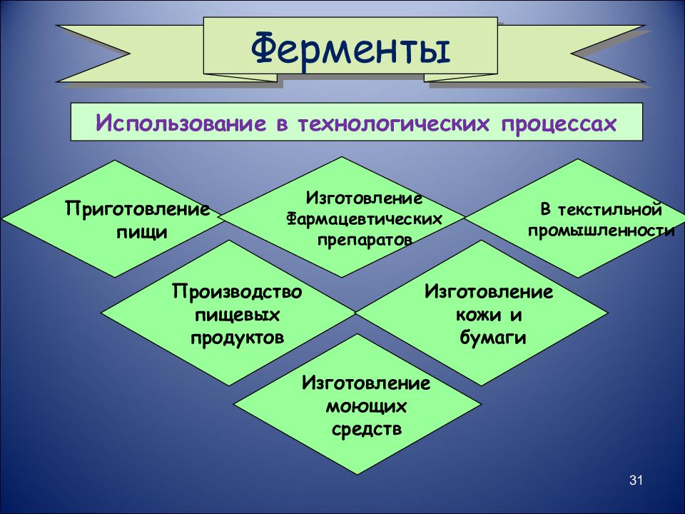 Применение ферментов презентация