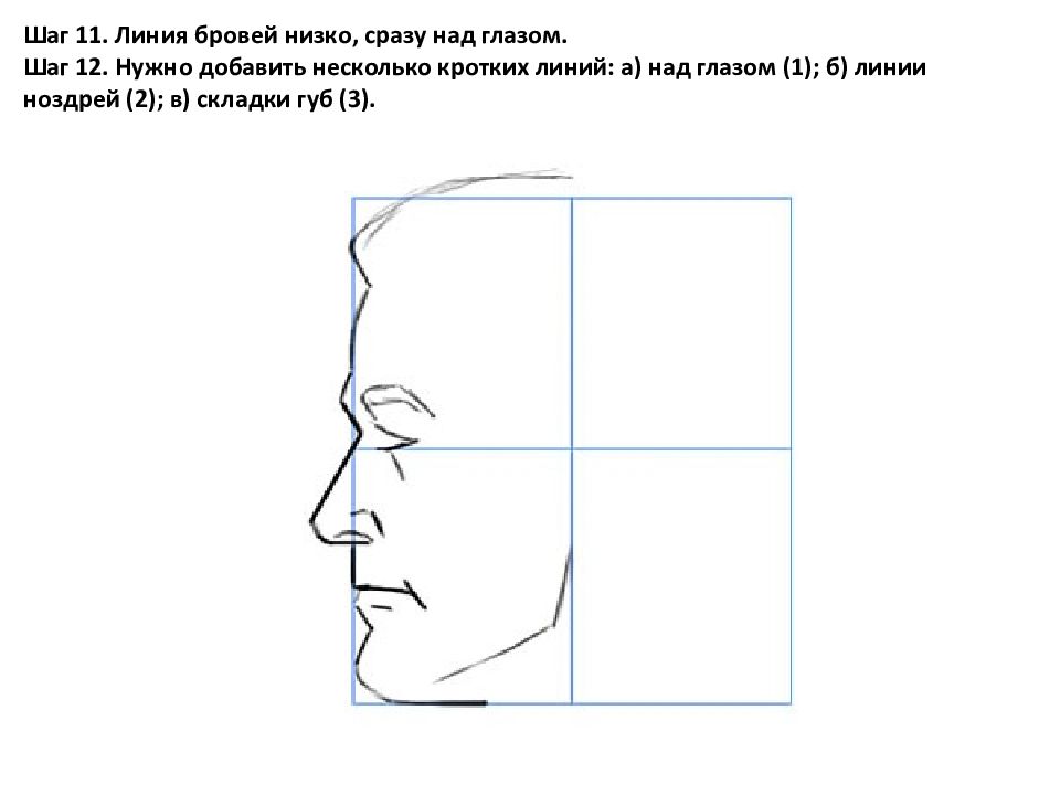 Профиль поэтапно. Поэтапное рисование лица в профиль. Профиль человека рисунок. Мужское лицо в профиль рисунок. Портрет с боку.