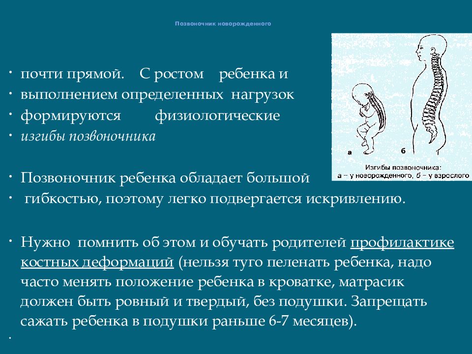 Анатомо физиологические особенности костно мышечной системы у детей презентация