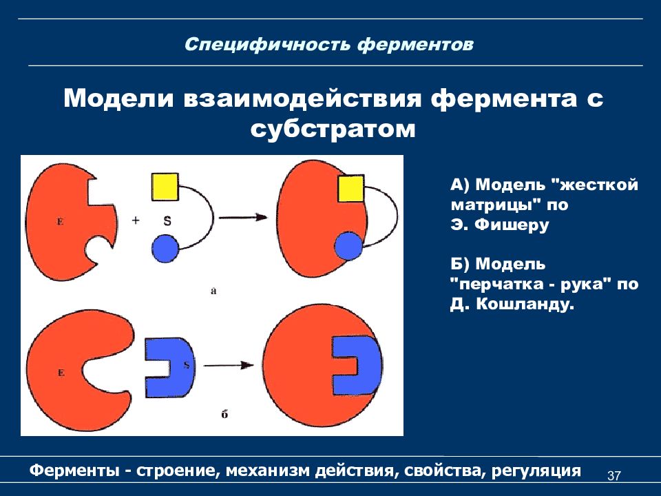 Схема анри ферменты