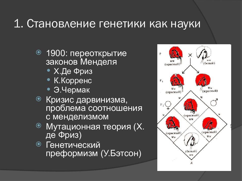 Биологическая картина мира это