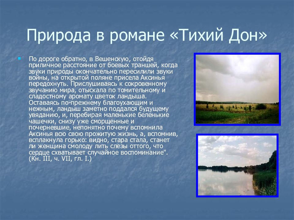 Реалистичное изображение трагедии 20 века в романе шолохова тихий дон