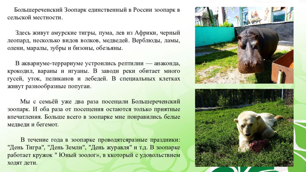 Расписание большереченского зоопарка. Большереченский зоопарк имени в. Большереченский зоопарк. Схема болтшереченскрго зоопарк. Расписание большереченского зоопарка.