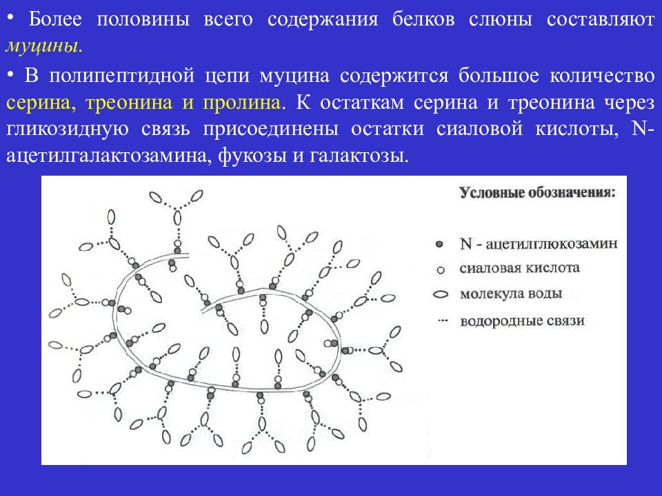 Биохимия слюны презентация