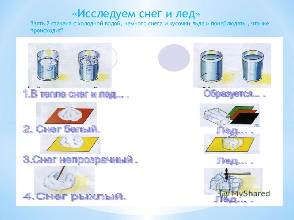 Алгоритм опытов и экспериментов в детском саду в картинках