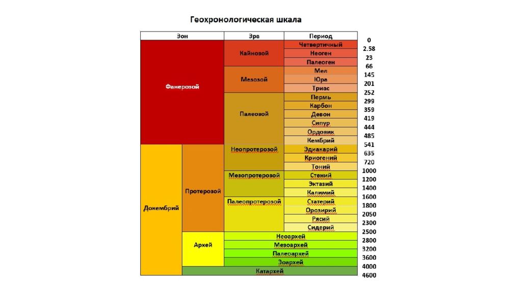 Уровни развития жизни