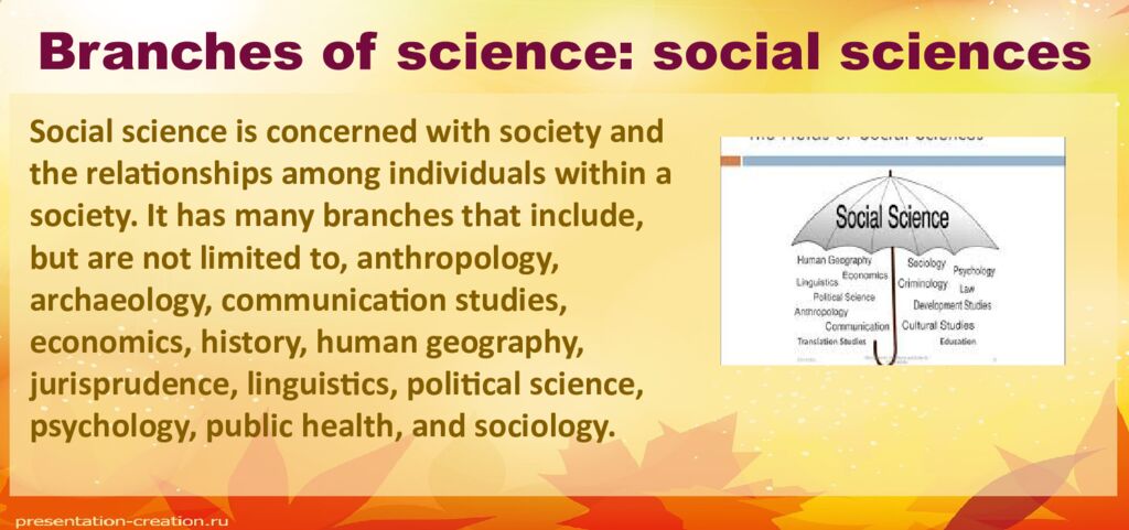 Branches of science: social sciences
